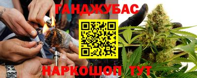 гашик Лесосибирск