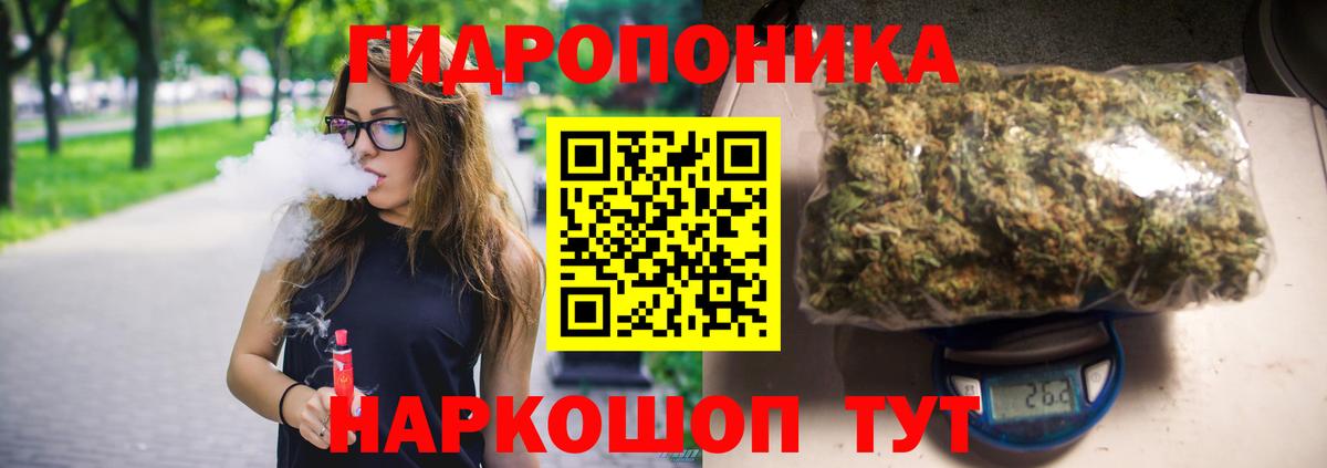 Марихуана сатива Видное